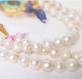 �Х��å��ѡ���